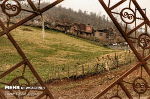 توسعه تعاونی دهیاری ها سبب مهاجرت معكوس روستاییان می شود