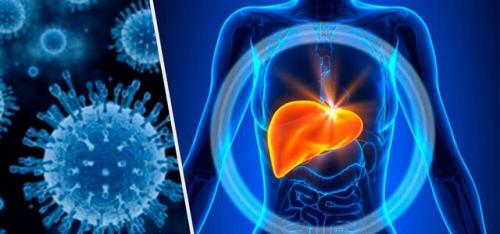 رکورد درمان مبتلایان هپاتیت در سال ۹۹