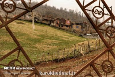 توسعه تعاونی دهیاری ها سبب مهاجرت معكوس روستاییان می شود