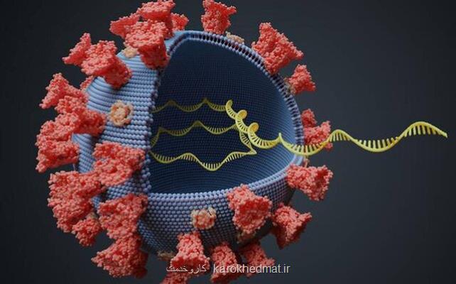 شناسایی 5 جهش خاص در سویه دلتا پلاس کووید 19