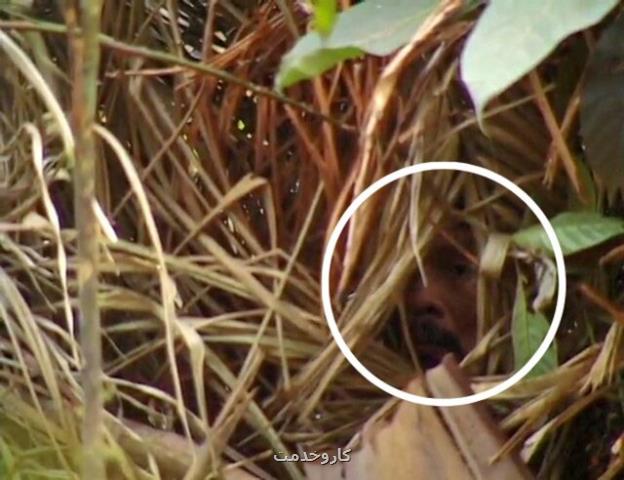 تنهاترین مرد جهان در برزیل درگذشت