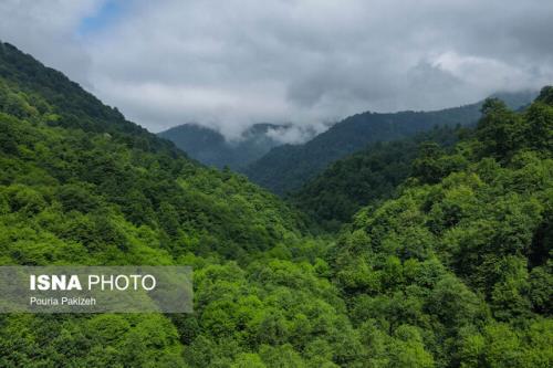 جزئیات طرح جنگلداری اجتماعی