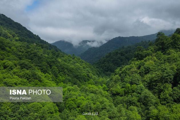 جزئیات طرح جنگلداری اجتماعی