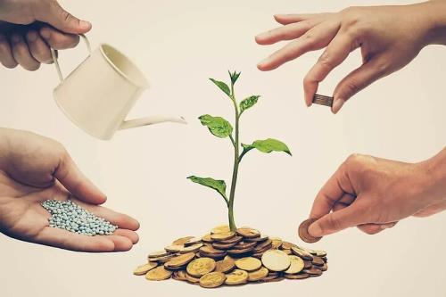 سند توسعه تعاون شامل ۸۰ حکم اجرائیست