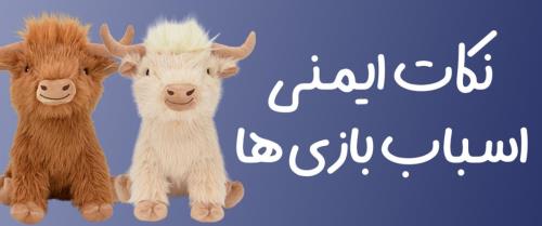 نکات ایمنی اسباب بازی ها