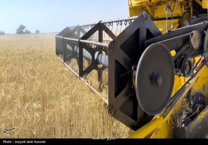 گندم مورد نیاز کشور تا انتهای سال تأمین شد گندم مورد نیاز کشور تا انتهای سال تأمین شد
