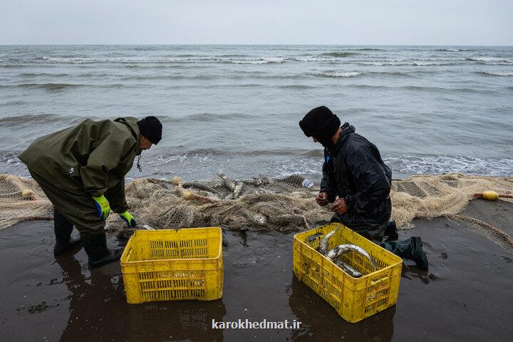 ایجاد بالاتر از ۳۰ هزار طرح اشتغال زایی در مناطق محروم طی ۷ ماهه سال جاری ایجاد بالاتر از ۳۰ هزار طرح اشتغال زایی در مناطق محروم طی ۷ ماهه سال جاری