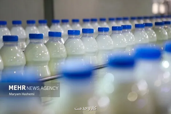 رقابت تخم مرغ ولبنیات برای صدرنشین شدن در گرانی بهمراه جدول نرخ کالاهای اساسی