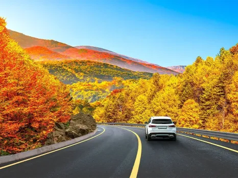 آخرهفته از تهران بیرون بزنید ۴ مقصد نزدیک برای فرار یک روزه از شلوغی شهر