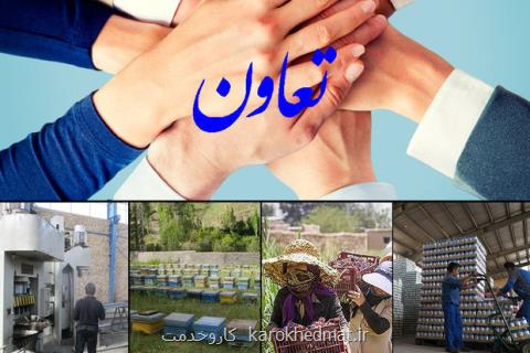 تعاونگران از مطالبه سهم ۲۵ درصدی خود از اقتصاد عقب نشینی نمی كنند