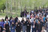 توقف۳شاخص مثبت بازاركار در بهار، روندمعكوس رشد اشتغال زنان و مردان