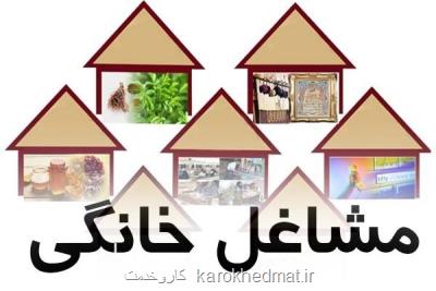 جزئیات طرح توسعه مشاغل خانگی در 31 استان